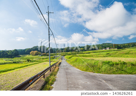滋賀縣大津市福谷之鄉湖西地區的梯田 滋賀縣大津市福谷之鄉湖西地區的梯田 143626261