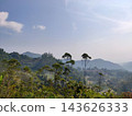 Mountain valley with fields and trees 143626333
