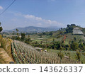 Scenic panorama of green terraced farmland, rural valley city, and mountain landscape 143626337