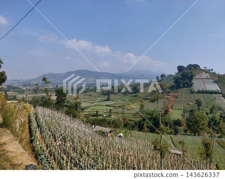 Scenic panorama of green terraced farmland, rural valley city, and mountain landscape 143626337