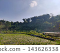 Scenic rural landscape featuring a lush green farm field, trees, and bright blue sky 143626338