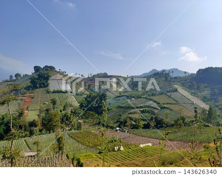 Scenic rural landscape featuring terraced agricultural green hills Scenic rural landscape featuring terraced agricultural green hills 143626340