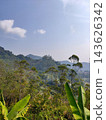 Scenic tropical hillside landscape with lush trees and farmlands under a blue sky 143626342