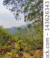 Scenic view of a tropical mountain landscape featuring dense green forests and distant misty hills 143626343