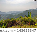 Tropical forested mountain landscape with banana trees 143626347