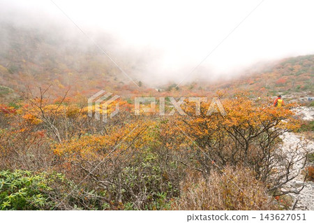 那須高原的秋須山秋葉景色,被雲海環繞。 那須高原的秋須山秋葉景色,被雲海環繞。 143627051