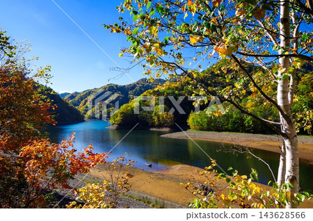 秋葉樹木和水壩湖泊景觀(北海道定山溪) 秋葉樹木和水壩湖泊景觀(北海道定山溪) 143628566