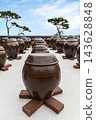 The scenery of earthenware jars harmonizing with nature 143628848