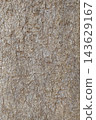 close up of tree bark texture  143629167