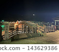 The illuminated Kintaikyo Bridge 143629386