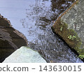 A natural landscape of moss on rocky surfaces and gently rippling water. 143630015