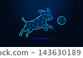 Low poly wireframe dog jumping for ball on dark blue background. 143630189
