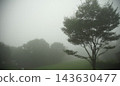 Trees on a plateau shrouded in mist 143630477