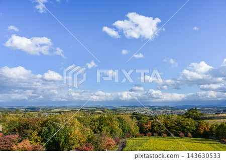北海道美瑛山 北海道美瑛山 143630533
