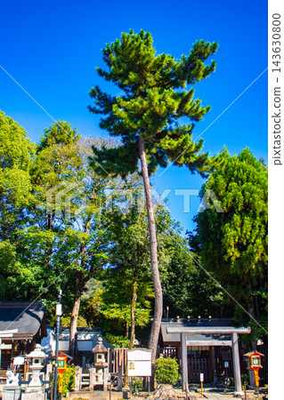 八坂神社:供奉神明的福報,包括須佐之男命:辟邪、保平安、姻緣。 八坂神社:供奉神明的福報,包括須佐之男命:辟邪、保平安、姻緣。 143630800