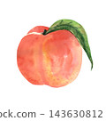 Bright ripe whole peach with a green leaf, realistic watercolor fruit illustration for food packaging, recipes, kitchen decor and summer design projects 143630812