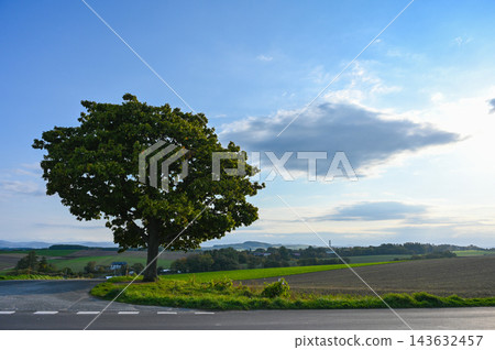 北海道美瑛的山景 143632457