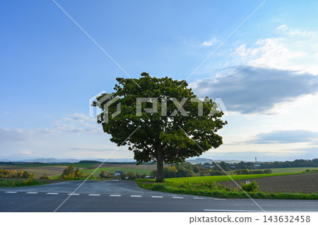 北海道美瑛的山景 北海道美瑛的山景 143632458