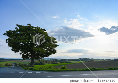 北海道美瑛的山景 北海道美瑛的山景 143632459