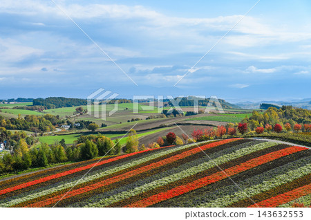 北海道美瑛山 北海道美瑛山 143632553