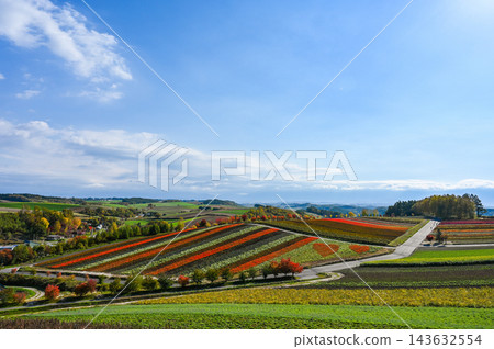 北海道美瑛山 143632554
