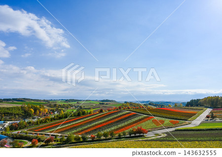 北海道美瑛山 北海道美瑛山 143632555