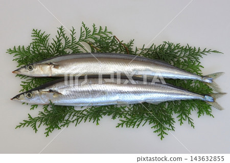 生秋刀魚 143632855
