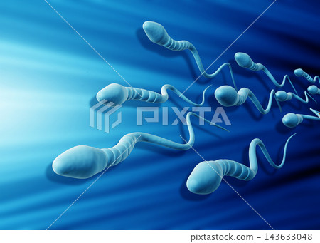 Human Sperm cells Human Sperm cells 143633048