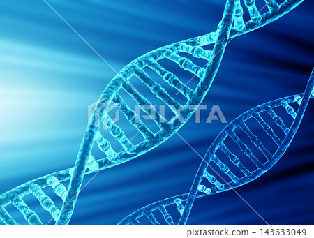 DNA molecules 143633049