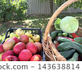 Freshly harvested organic apples, cabbage, cucumbers, and peppers in a wicker basket and crate outdoors. Seasonal harvesting 143638814