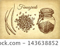 Fenugreek Spice. Ink Sketch Set 143638852