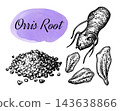 Iris Root Sketch Set. Dried and Fresh Rhizomes 143638866