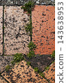In March, tiny white wildflowers bloom in the gaps along the sidewalk. 143638953