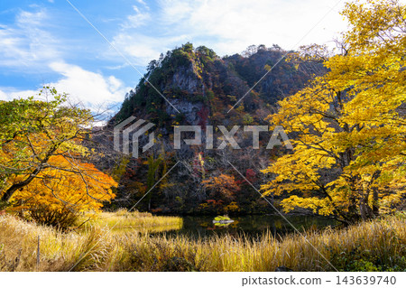 魚王山縣立自然公園,紅葉盛開 魚王山縣立自然公園,紅葉盛開 143639740