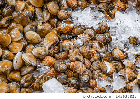 fresh raw seashells on ice at the supermarket fresh raw seashells on ice at the supermarket 143639823