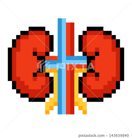 Pixel art kidneys with ureters and blood vessels Pixel art kidneys with ureters and blood vessels 143639840