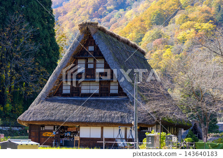 世界文化遺產五箇山合掌造村,正值秋色最盛之時。 世界文化遺產五箇山合掌造村,正值秋色最盛之時。 143640183