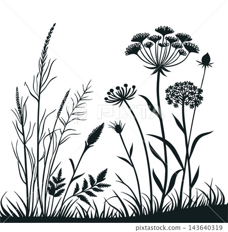 Collection of Wild Flower Silhouette Vector Collection of Wild Flower Silhouette Vector 143640319