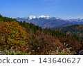 白山山脈的皚皚雪峰和秋天的紅葉 143640627