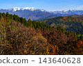 白山山脈的皚皚雪峰和秋天的紅葉 143640628