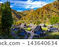 世界文化遺產五箇山合掌造村，正值秋色最盛之時。 143640634