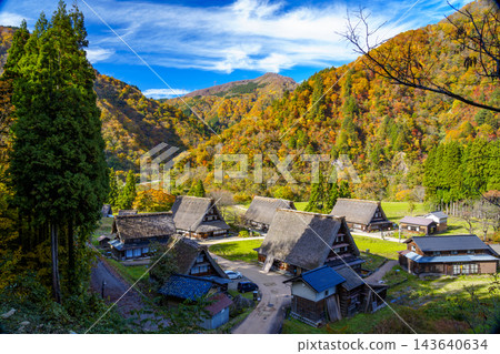 世界文化遺產五箇山合掌造村,正值秋色最盛之時。 世界文化遺產五箇山合掌造村,正值秋色最盛之時。 143640634