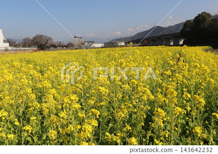 與強姦領域的風景 與強姦領域的風景 143642232