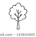 Hand Drawn Doodle Deciduous Tree with Leafy Crown Outline Illustration, Nature and Park Icon Isolated on White 143643005