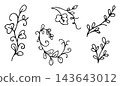 Hand Drawn Doodle Floral Branches Set with Curls and Leaves Outline Illustration, Decorative Botanical Elements 143643012