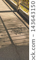 A spiked metal fence casts a linear shadow on a paved walkway. 143643150