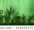 Leaf shadows stretch across a subtly textured curtain, creating a natural decorative effect. 143643155