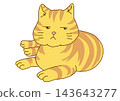 The tabby cat looks with a cold gaze. 143643277
