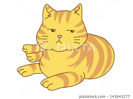 The tabby cat looks with a cold gaze. 143643277