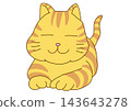 Tea tabby cat sitting 143643278